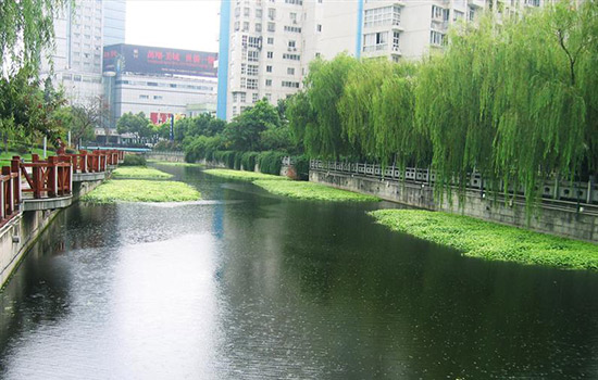 自然水体修复