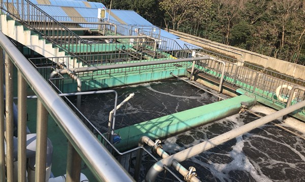 生物填料
