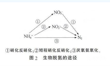 生物脱氮