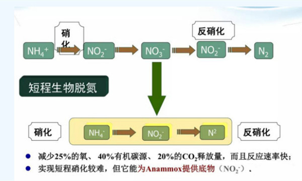 硝化反硝化