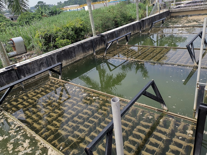 生物填料