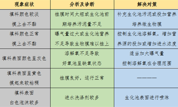 生物膜填料挂膜情况